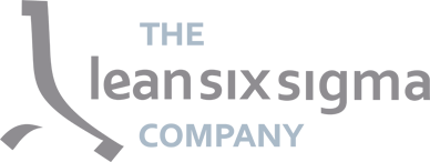 The-Lean-Six-Sigma-Company-logo